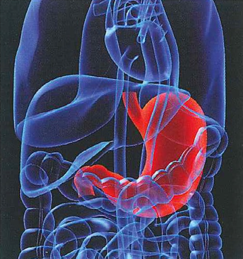 The Importance of Digestive Enzymes